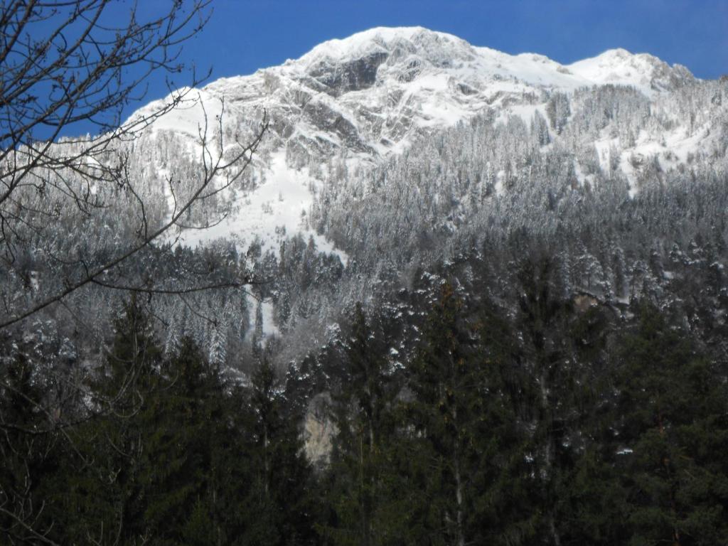 Appartementhaus Scheiflinger Hermagor Kültér fotó